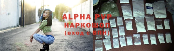 сатива Зеленокумск