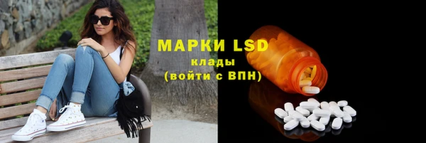 сатива Зерноград