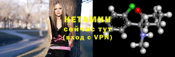 сатива Зерноград