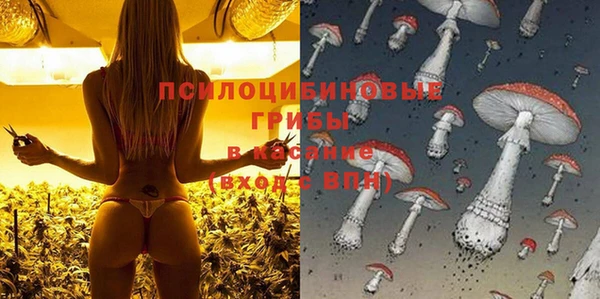 сатива Зеленокумск