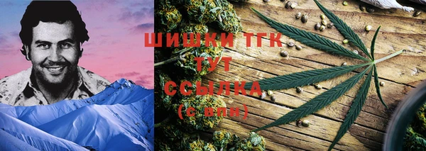 сатива Зеленокумск