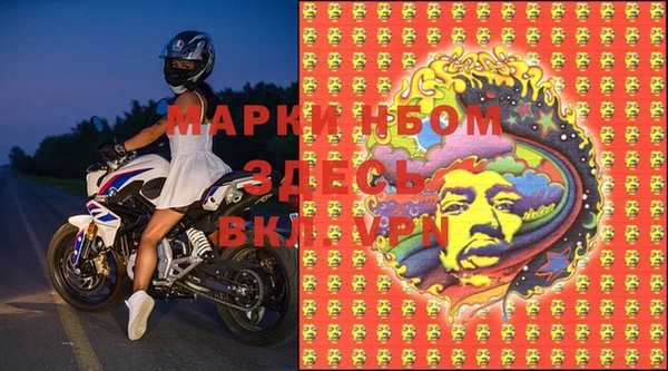 сатива Зерноград