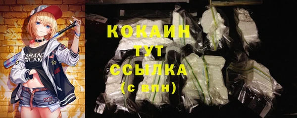 сатива Зеленокумск