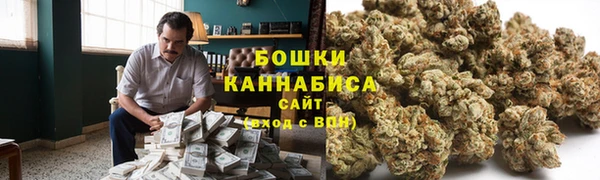 сатива Зерноград