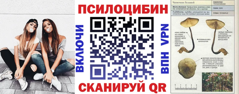 Купить где  Луза  Галлюциногенные грибы Cubensis 